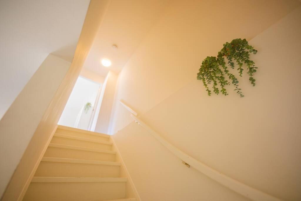 Lovely 3 Bedroom Apartment In Eindhoven 65M2 - Sd23N Dış mekan fotoğraf